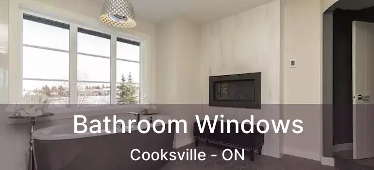  Bathroom Windows Cooksville - ON