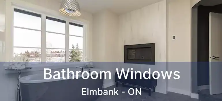  Bathroom Windows Elmbank - ON