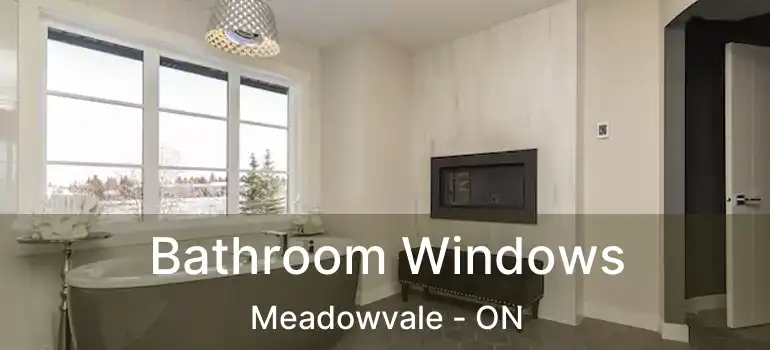  Bathroom Windows Meadowvale - ON