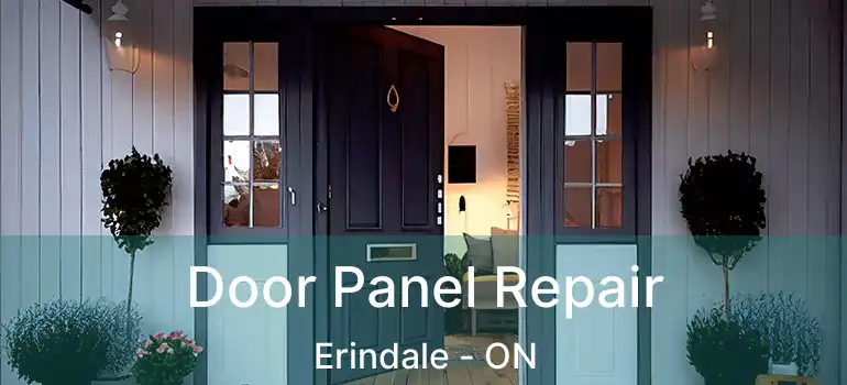  Door Panel Repair Erindale - ON