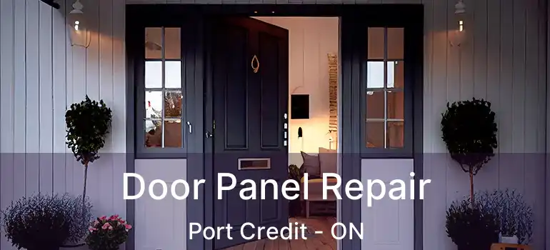  Door Panel Repair Port Credit - ON