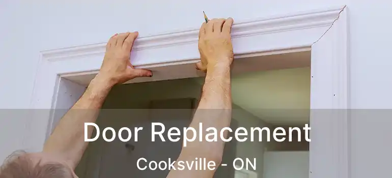  Door Replacement Cooksville - ON