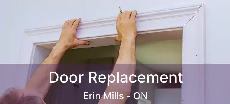  Door Replacement Erin Mills - ON