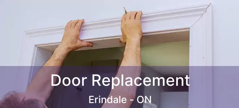  Door Replacement Erindale - ON