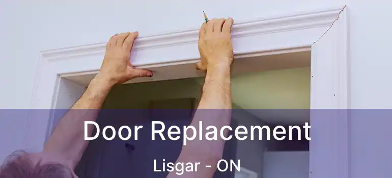  Door Replacement Lisgar - ON