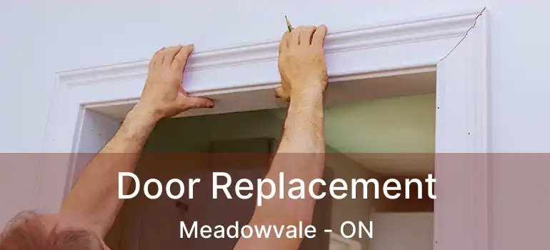  Door Replacement Meadowvale - ON