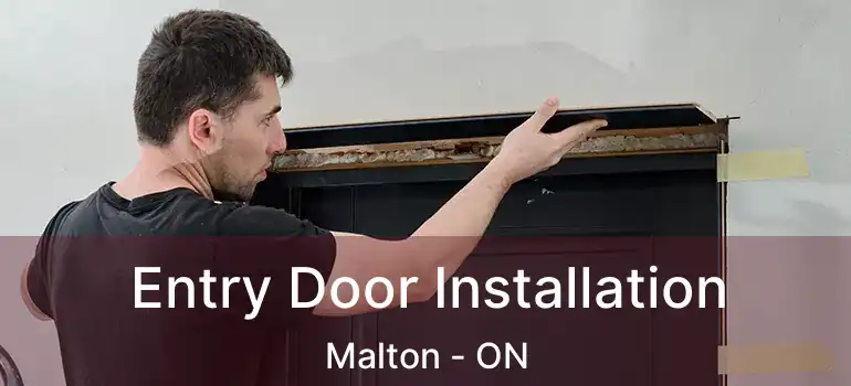  Entry Door Installation Malton - ON