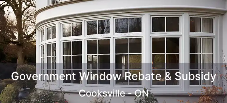  Government Window Rebate & Subsidy Cooksville - ON