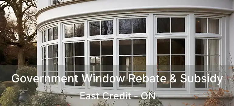  Government Window Rebate & Subsidy East Credit - ON