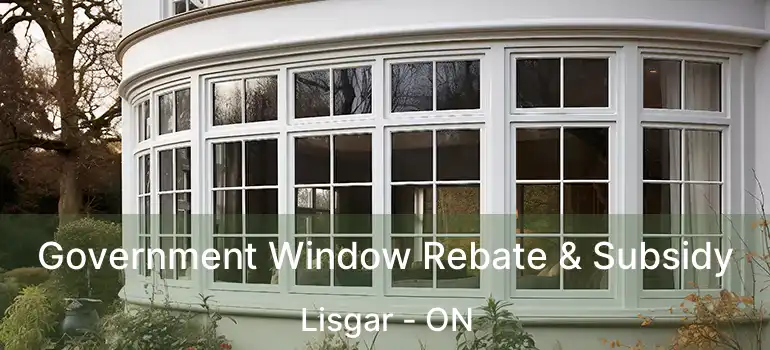  Government Window Rebate & Subsidy Lisgar - ON