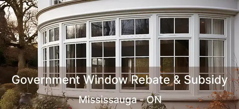  Government Window Rebate & Subsidy Mississauga - ON