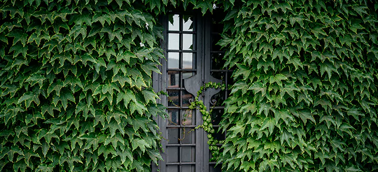 Garden Gate Repair in Rockwood Village, ON