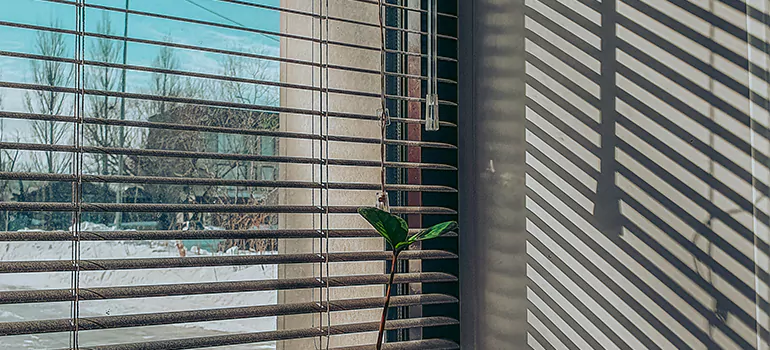 Commercial Window Blinds in Rockwood Village, ON