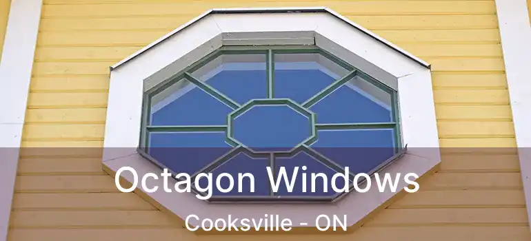  Octagon Windows Cooksville - ON