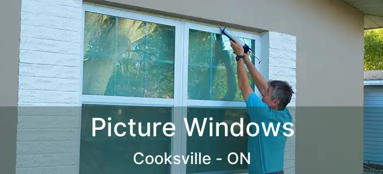  Picture Windows Cooksville - ON