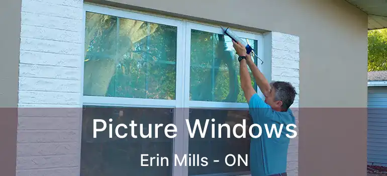  Picture Windows Erin Mills - ON