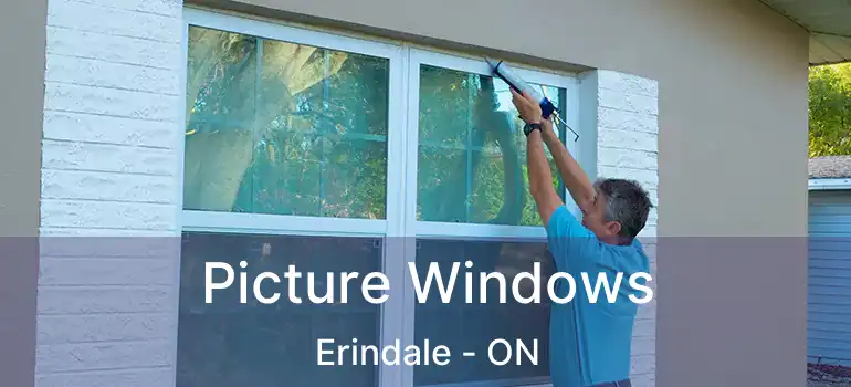  Picture Windows Erindale - ON