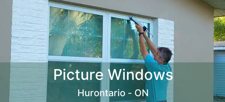  Picture Windows Hurontario - ON