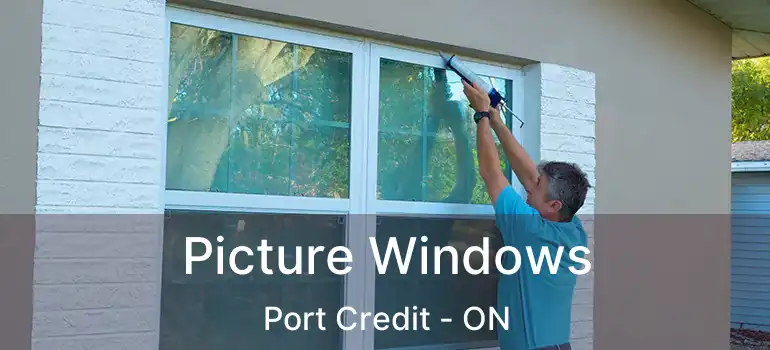  Picture Windows Port Credit - ON