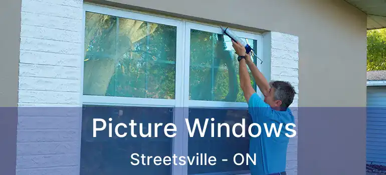  Picture Windows Streetsville - ON