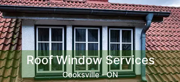  Roof Window Services Cooksville - ON