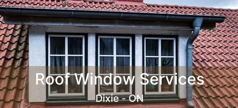  Roof Window Services Dixie - ON