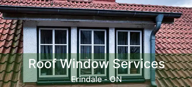  Roof Window Services Erindale - ON