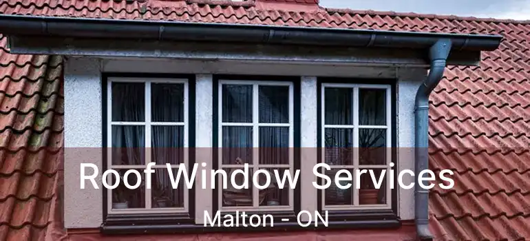  Roof Window Services Malton - ON