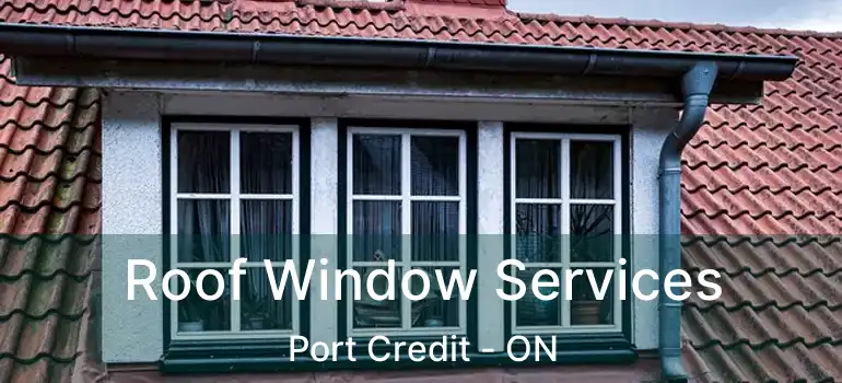  Roof Window Services Port Credit - ON