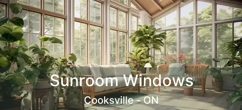  Sunroom Windows Cooksville - ON