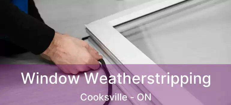  Window Weatherstripping Cooksville - ON