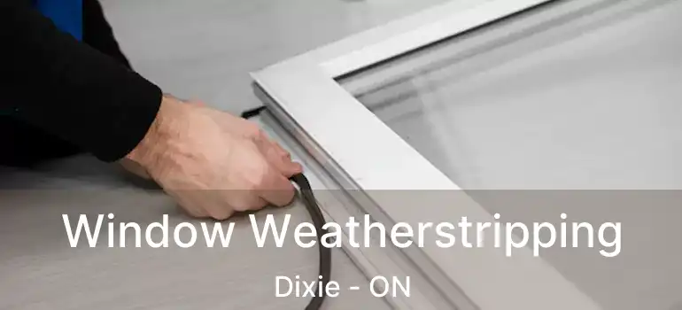  Window Weatherstripping Dixie - ON