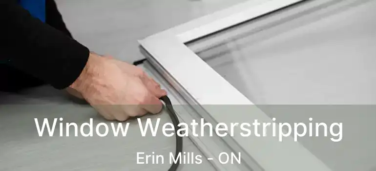  Window Weatherstripping Erin Mills - ON