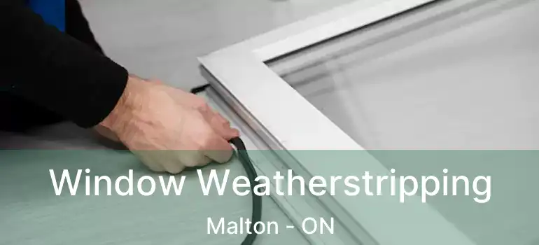  Window Weatherstripping Malton - ON