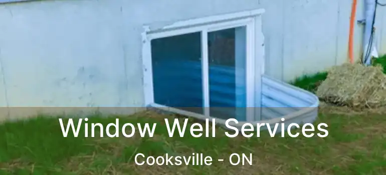  Window Well Services Cooksville - ON