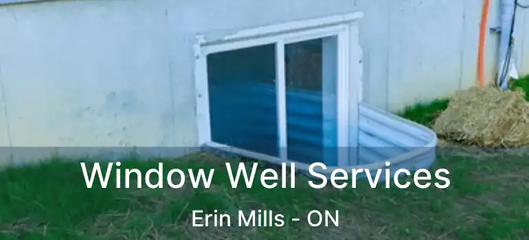  Window Well Services Erin Mills - ON